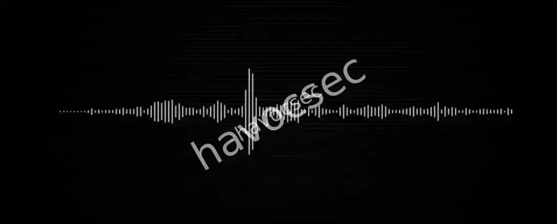 Lost in Translation-bellingcat osint challenge2